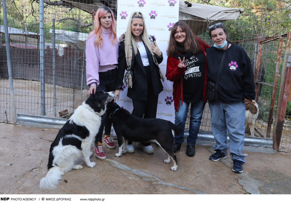 Read more about the article Dr. Nikoleta Sereti, supports the Voluntary Animal Welfare Association of St. Petersburg – “Save the Tails”, helping in their effort.